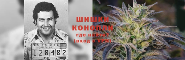 молекула духа Алексеевка
